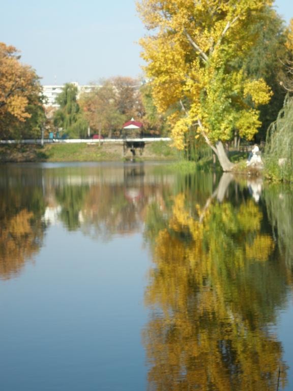 An autumnal reflection